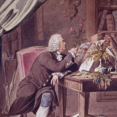 Ausschnitt des Gemäldes von Gerard van Swieten (1700-1772) von Karl Ruß. Datiert 1807.